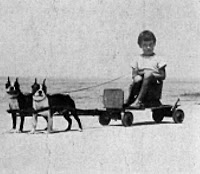 Girl_towed_by_two_small_dogs.jpg