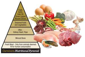 Raw-dog-food-pyramid.jpg